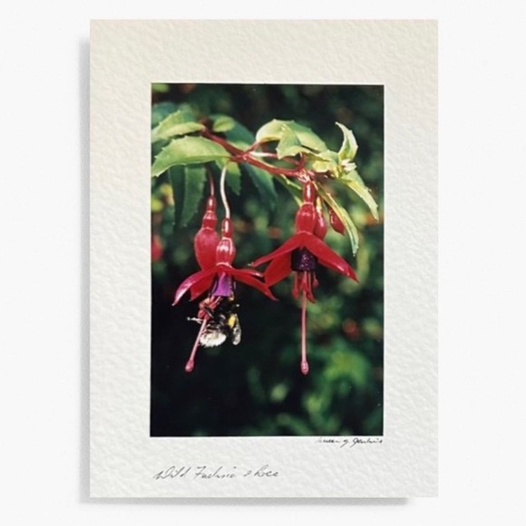 Wild Flower Stationary Card - Picture 2 of 15